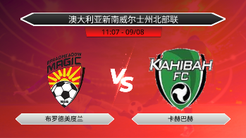 澳大利亚新南威尔士州北部联 布罗德美度兰 VS 卡赫巴赫