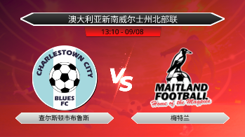 澳大利亚新南威尔士州北部联 查尔斯顿市布鲁斯 VS 梅特兰