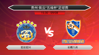 贵州·紫云“五峰杯”足球赛 宏达宏兴 VS 长顺八月